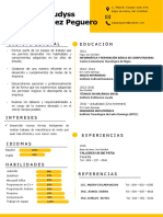 Curriculum VITAE