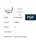 Open Ended LAB: Name: Ayyan Ahmad