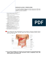 Absorción de glucosa y peristaltismo intestinal