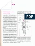 Botanica Strasburger PDF