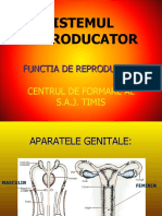 12.-Sistemul Reproducator