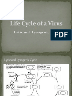 Life Cycle of A Virus