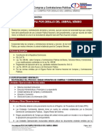 Compras Por Debajo Del Umbral Minimo PDF