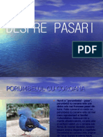 0_despre_pasari.ppt