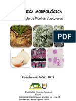 Botanica Morfologica PDF