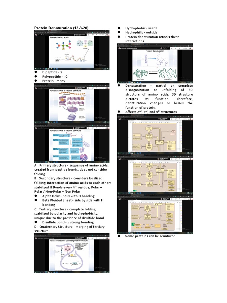 Protein Denaturation (12320) PDF Denaturation (Biochemistry