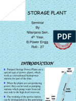 Pumped Hydro.pdf