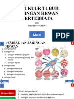 Struktur Tubuh Jaringan Hewan Vertebrata: Mulai