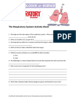 The Respiratory System Activity Sheet