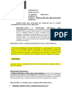 Laboral Demanda PDF