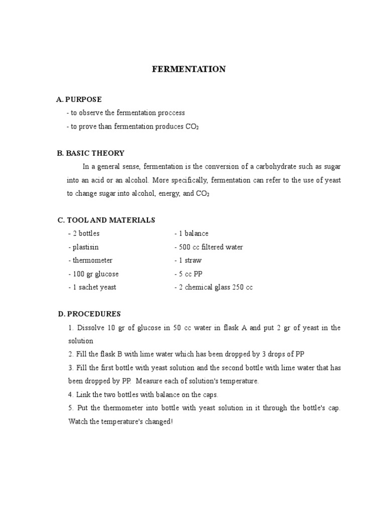 Observing Fermentation and CO2 Production | PDF | Fermentation | Water