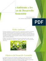 Medio Ambiente y Los Objetivos de Desarrollo Sostenible
