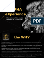 EXperience Alpha 20