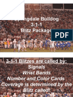 3-1-1 Blitz Package