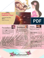 2 - PP - Fecundacion, Embarazo y Parto - Irma Elizabeth - Chaperón Colín - TIC - Alamos
