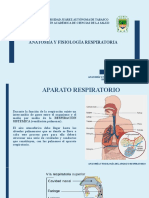 Anatomia y Fisiologia Del Aparato Respiratorio 1