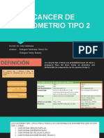 CANCER DE ENDOMETRIO TIPO 2.pptx