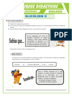 Respiración aeróbica: etapas y procesos