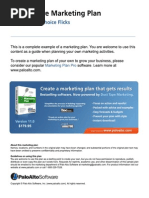 Download Video store marketing plan by Palo Alto Software SN4869859 doc pdf