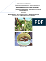 27 Melon Sanjuan PDF