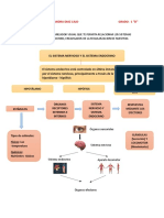 Sistema Nervioso y Sistema Endocrino