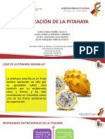 Liofilizacion P. Amarilla