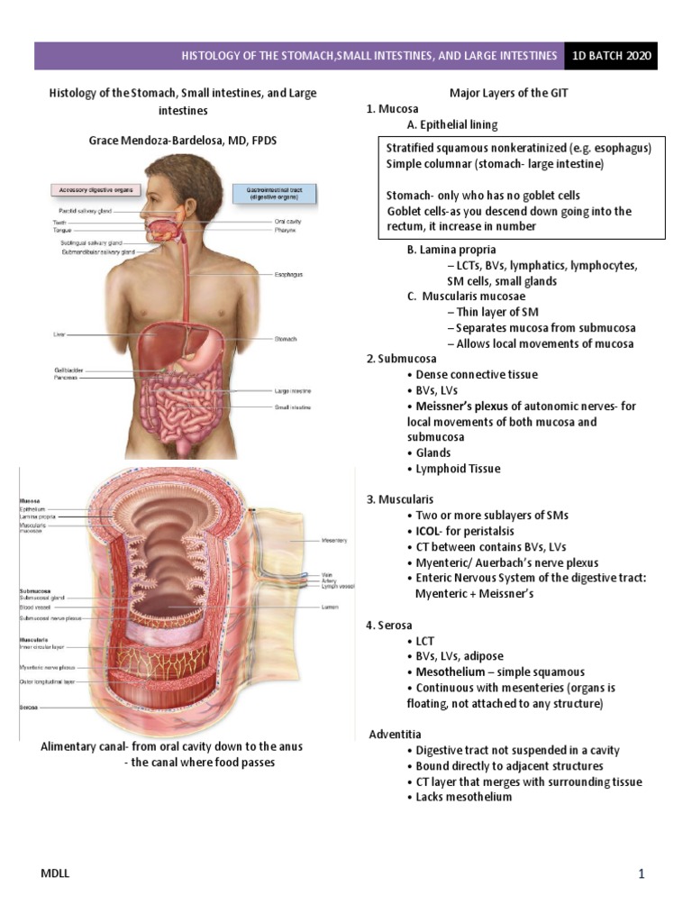 Реферат: Klinefelter Syndrome Essay Research Paper Klinefelter syndrome