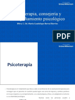 Psicoterapia, Consejería y Acompañamiento Psicológico