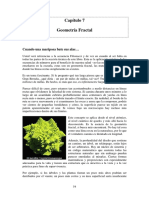 004.Capitulo 7 - Geometria fractal.pdf