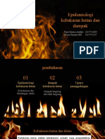 Kel.6 - Epid Bencana Dampak - Kebakaran Hutan