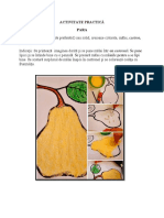 Joi - DOS - Activitate practică - Para.pdf