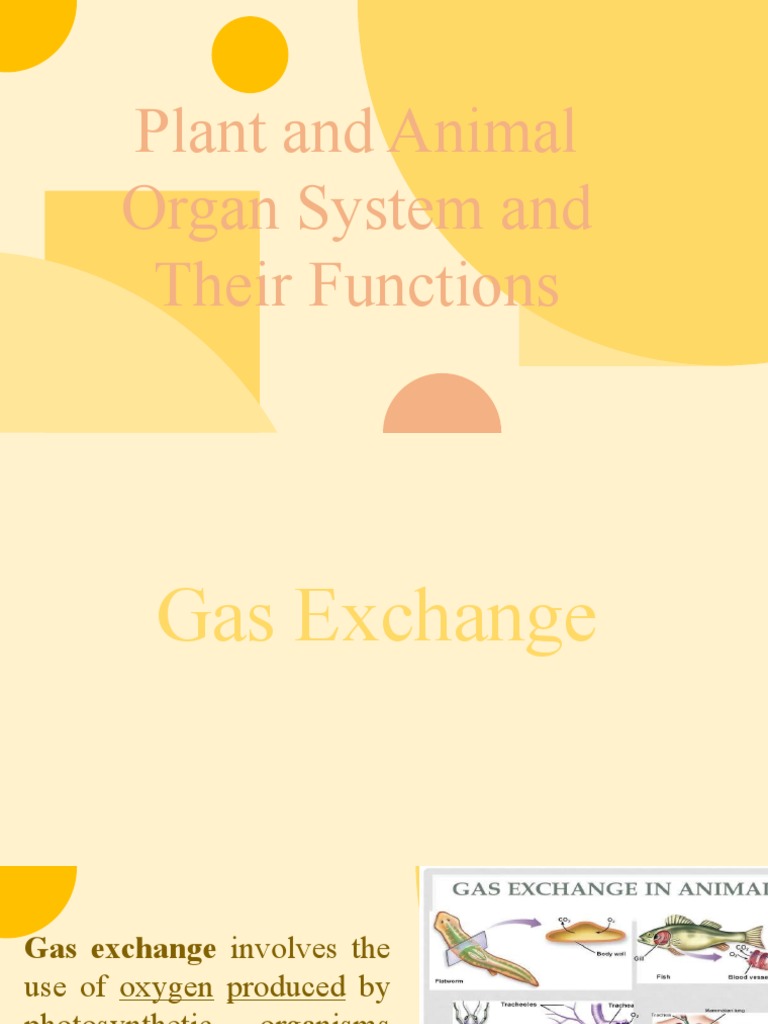 Plant and Animal Organ System and Their Functions Download Free PDF