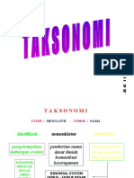 Taksonomi 06