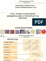 Aula T5 - Vírus - Protoz - Fungos - MicbAlim - 20122013