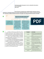 S28 - S29 - CL A V-A - Elementele Nutritive Si Energetice Ale Alimentelor