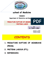 PROM and Preterm Lebor PDF