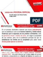 Procesal-Deslinde y Amojonamiento PDF
