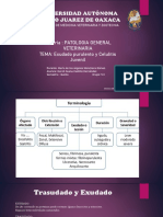 CELULITIS JUVENIL - Exudado Purulento PDF