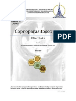 Download 2752-P5P- COPROPARASITOSCOPICO by Adelheint Bernstein SN48704892 doc pdf