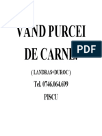 VÂND PURCEI DE CARNE.docx