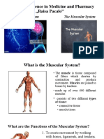 The Muscular and Nervous System