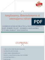 Amplasarea, Dimensionarea, Amenajarea Raioanelor