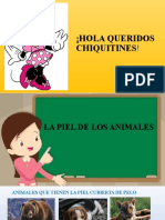 CIENCIAS PIEL DE LOS ANIMALES