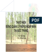 Co-Management Experience - Vietnamese - Hiep PDF
