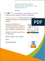 Práctica 5 - Sub.2 - Ácidos Carboxílicos y Sus Derivados - Rivera Campos Juan Orlando - P.2 - 3ALQ