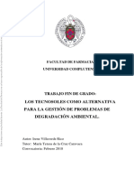 Irene Villaverde Rico PDF