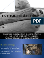 Entomologia Forense 17