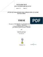 2014lyon026 PDF