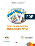 Estructura metodológica Guías ENA ED_CM