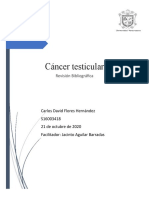 Revision bibliografica cancer testicular.docx